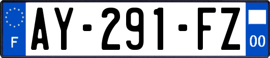 AY-291-FZ