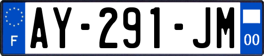 AY-291-JM