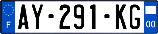 AY-291-KG