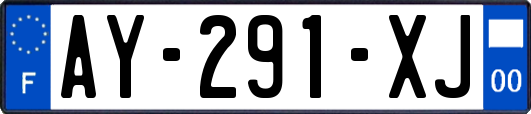 AY-291-XJ