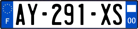 AY-291-XS