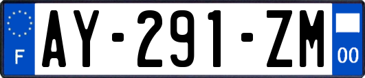 AY-291-ZM