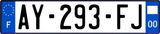 AY-293-FJ