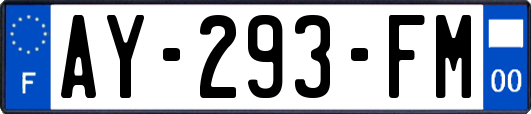 AY-293-FM