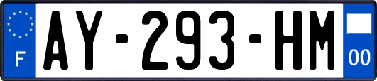 AY-293-HM