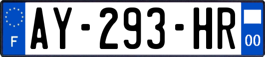 AY-293-HR