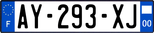 AY-293-XJ