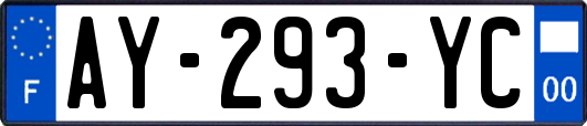 AY-293-YC
