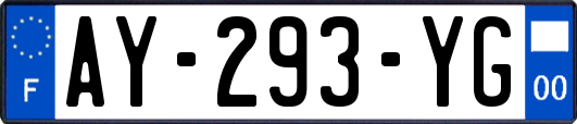 AY-293-YG