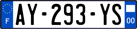 AY-293-YS