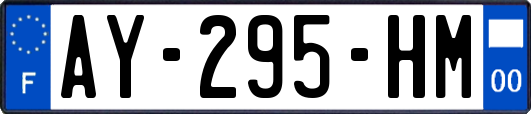 AY-295-HM
