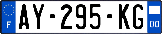 AY-295-KG