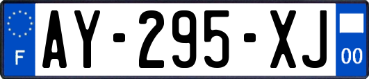 AY-295-XJ