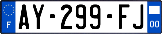 AY-299-FJ