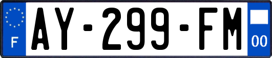 AY-299-FM