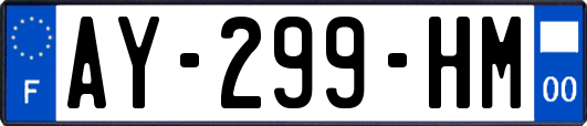 AY-299-HM