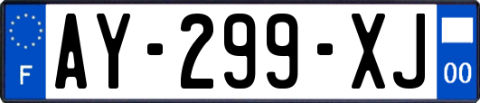 AY-299-XJ