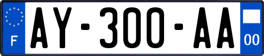 AY-300-AA