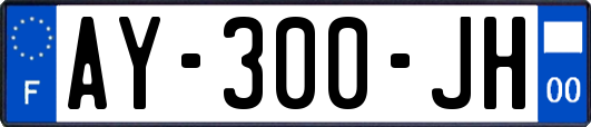 AY-300-JH