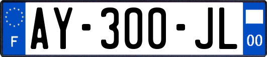 AY-300-JL