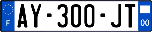 AY-300-JT