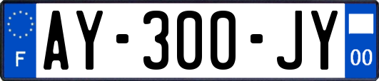 AY-300-JY