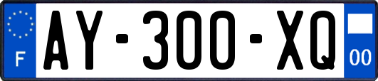 AY-300-XQ