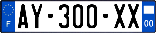 AY-300-XX