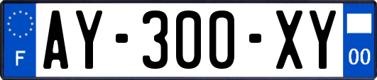 AY-300-XY