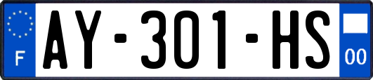 AY-301-HS