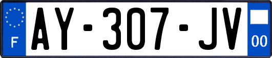 AY-307-JV
