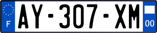 AY-307-XM