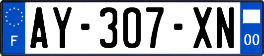 AY-307-XN