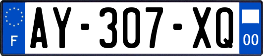 AY-307-XQ