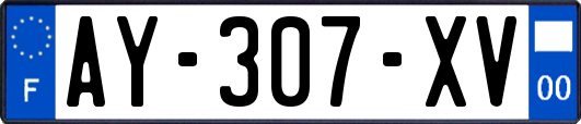 AY-307-XV