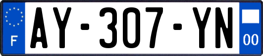 AY-307-YN