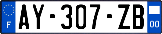 AY-307-ZB