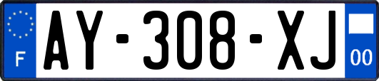 AY-308-XJ
