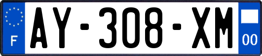 AY-308-XM