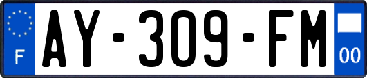 AY-309-FM