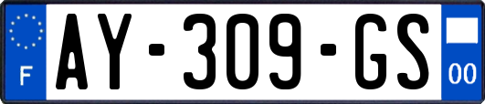 AY-309-GS