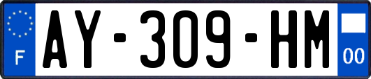 AY-309-HM