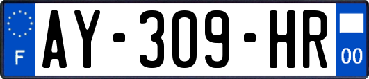 AY-309-HR