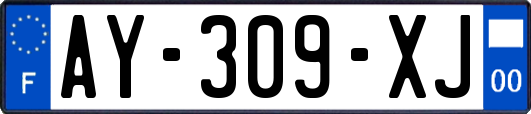 AY-309-XJ