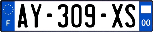 AY-309-XS