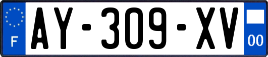 AY-309-XV