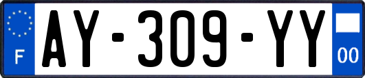 AY-309-YY