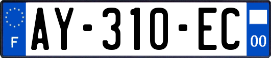 AY-310-EC