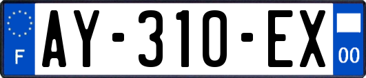 AY-310-EX
