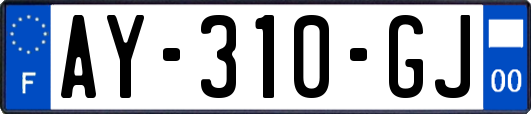 AY-310-GJ